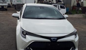 Toyota Corolla Sport full