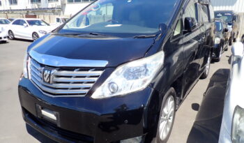 Toyota Alphard full