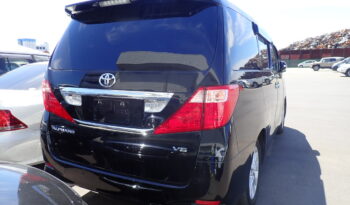 Toyota Alphard full
