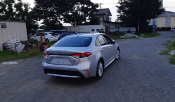 Toyota Corolla full