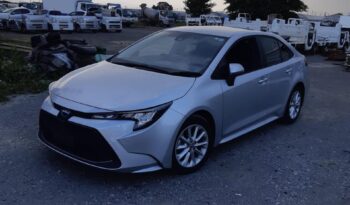 Toyota Corolla full