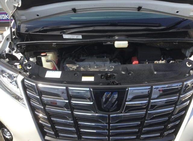 Toyota Alphard full
