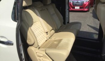Toyota Alphard full