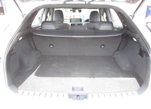 Lexus RX F Sports full