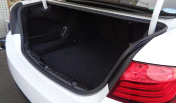 BMW (5 Series) 523i full