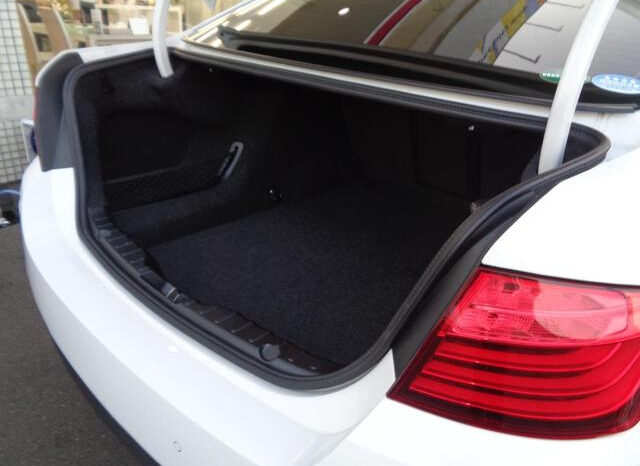 BMW (5 Series) 523i full