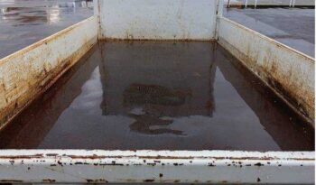 Isuzu Elf (Sold) full