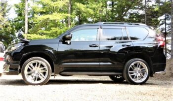 Toyota LC Prado TXL full