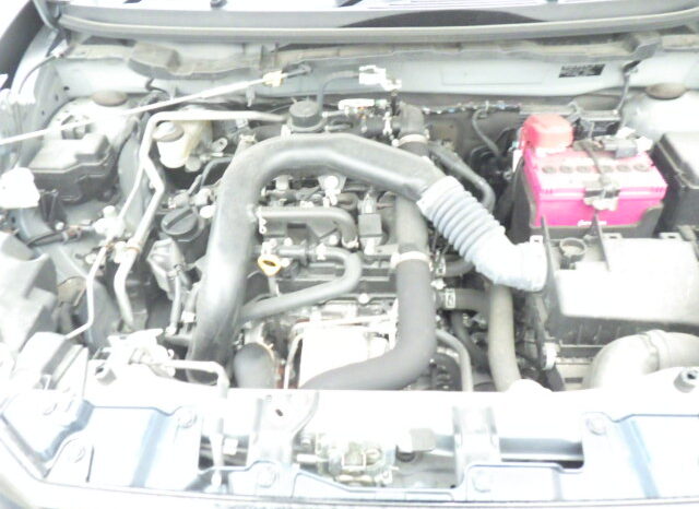Toyota Raize full
